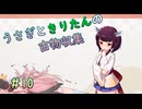 【Dungeon Antiqua】うさきりの古物収集#10【うさきり実況】