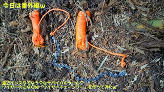 (今日は番外編ｗ）変態忍者の、有害鳥獣駆除従事活動記・その３１２