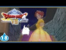 【DQ8＊実況】これが現状最後の初見で大冒険！第十八章