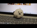 テスト動画.mp4