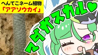 メスガキ先生とヤンデレちゃん横長版１２６「アアソウカイ」