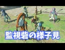 ゼルダの伝説　ティアーズ オブ ザ キングダム　実況プレイPart223