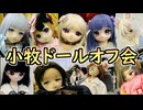 リリちゃんねるチームと行く「小牧ドールオフ会」【ラブドールとの日常】【ゆっくり解説・VOICEVOX解説】