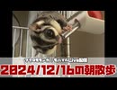 【 #おはモモンガ 】【 #朝活  】 #フクロモモンガ の朝散歩をライブ配信！2024/12/16 【 #アーカイブ 】