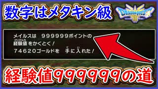 DQ3 HD-2D版 経験値999999入手までの道のり！メタルキング級の経験値を刮目せよ！鬼畜なレベル上げ（笑） ドラクエ3リメイク 攻略【ネタバレあり】【メイルス】