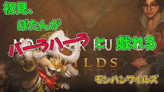 ぼたん、初見のバーラハーラと戯れる01