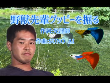【学べる淫ミュ】野獣先輩グッピーを掘る