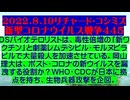 【2022年08月19日 ：『 リチャード・コシミズ「 Internet Lecture 」｟ LIVE ｠｟ 改良版 ｠』】