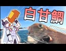 【角瓶】音楽的同位体のコマセ白甘鯛リレー
