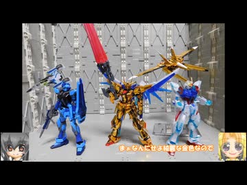RG アカツキガンダム(オオワシ装備) ガンダム(ゴールドコーティング) ゆっくりプラモ動画