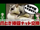 【 #フクロモモンガ 】爪とぎ棒の蝶ナットを紛失！新しく買い直したらM6サイズだった話！【 #おつモモンガ 】【 #shorts 】