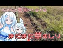 2024年12月17日　農作業日誌P1212　地道に草取りしながらGROKで遊ぶ