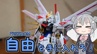 【ガンプラ製作】自由を手に入れろ！マイティストライクフリーダムガンダムを組み立ててみた！