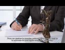 BAM Personal Injury Lawyers