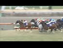 2014 有馬記念（GⅠ)　ジェンティルドンナ