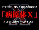 アフリカ・コンゴの謎の感染症に 「病原体Ｘ」 という名称がつけられている…