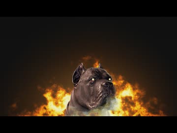 【DBD】超利敵犬 スローボール宇都宮物語.mp144