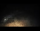【リバース:1999】見えるものを見る