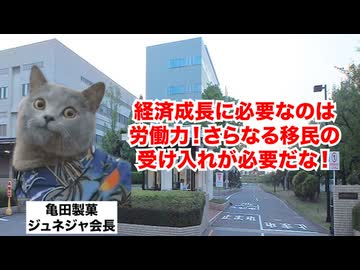 【亀田製菓】「移民増やせ」で株価暴落！？インド出身会長の失言で不買運動に発展した菓子メーカー #猫マニ #猫ミーム
