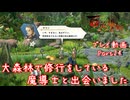 【ゆっくり実況】百英雄伝 Part24～大森林で修行をしている魔導士と出会いました
