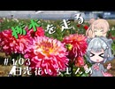 【CeVIO車載】栃木を走る#103　日光花いちもんめ