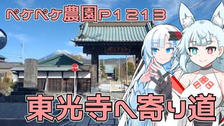 2024年12月18日　農作業日誌P1213　お仕事の合間に富士市にある東光寺へと寄り道