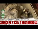 【 #おはモモンガ 】【 #朝活  】 #フクロモモンガ の朝散歩をライブ配信！2024/12/18 【 #アーカイブ 】
