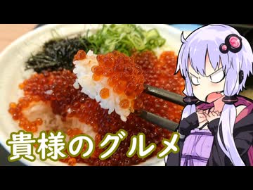 【クリスマスには鮭を食え！】貴様のグルメ＆ゆかりのふらっと隠れ家 第２期 ♭444