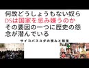 何故どうしょうもない奴らDSは国家を忌み嫌うのか　その要因の一つに歴史の怨念が潜んでいる