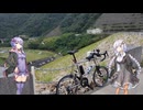 【自転車車載】あかりちゃんを鳥取すごい！ライドに連れ出しました 29回目