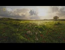 Seven Wonders of the New World