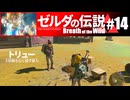 【ゆっくり実況】マスターモードで遊ぶブレワイ#14