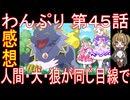 【アニメ感想】わんぷり45話「人間・犬・狼が同じ目線で」わんだふるぷりきゅあ！