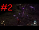 【実況】常に死と隣り合わせの過酷な世界を生き抜く【Outward Definitive Edition】part2
