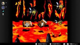 エテ公、懐古する【スーパードンキーコング2実況】#14