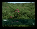 【実況】 周りを巻き込んで風雨来記をやってみた。Part17