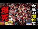 【2024年】『お祭り用の爆竹で爆死』スクーターに詰め込んでいた大量の爆竹が突然爆発 運転手が爆死し、通行人も巻き込む大惨事に【ゆっくり解説】