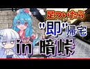 足ついたら即帰宅！ロードバイクで暗峠チャレンジ【VOICEVOX車載】