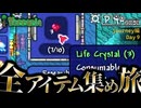 【全アイテム集め旅】命を手に入れた作業動画 【テラリア】DAY9