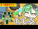 【リニューアル】ヤンデレ天使とメスガキ悪魔のあつ森実況その１「草をむしる」【カニバリ玉手箱】