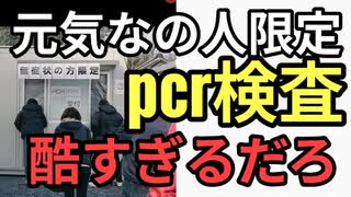 元気な人用のpcr検査　まじ酷すぎるだろ　こんなんに騙されて