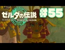 【ぽつぽつ実況 #55】ルージュ【ティアーズオブザキングダム】