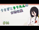 【Dungeon Antiqua】うさきりの古物収集#11【うさきり実況】