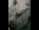 75633718717__6E3EC851-222C-4908-BE66-B66156731186