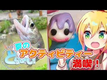 【どらめし！】計画ガバでも夏を全力満喫！【VOICEROID車載】