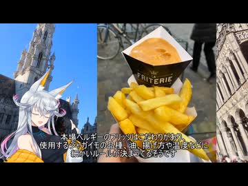 【4日目/ベルギー・ブリュッセル】ニコライ・ボルコフ新婚旅行レポ動画　part4