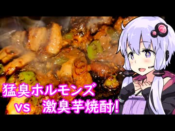 【猛臭鉄板ホルモンズvs激臭芋焼酎！】ゆかりのふらっと隠れ家 第２期 ♭445
