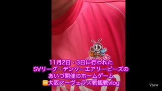 デンソーエアリービーズ□大阪マーヴェラス観戦vlog