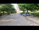 【散歩2022】埼玉県上尾 上平公園までの細道2022_7_1