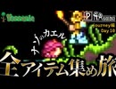 【全アイテム集め旅】テレポート不思議カエル作業動画 【テラリア】DAY10